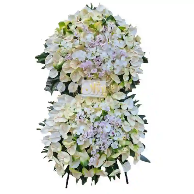 پایه گل شاد Bs.5