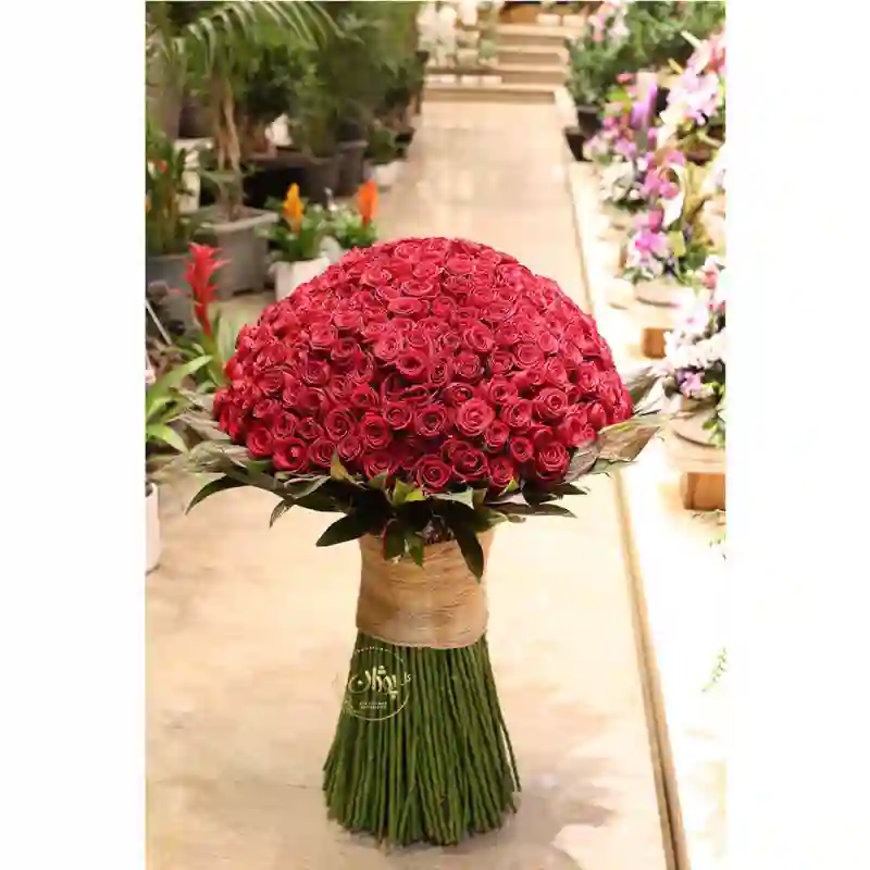 دسته گل رز کد Rd.7