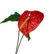 آنتریوم