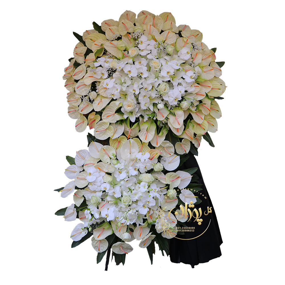 پایه گل ختمی با گلهای سفید